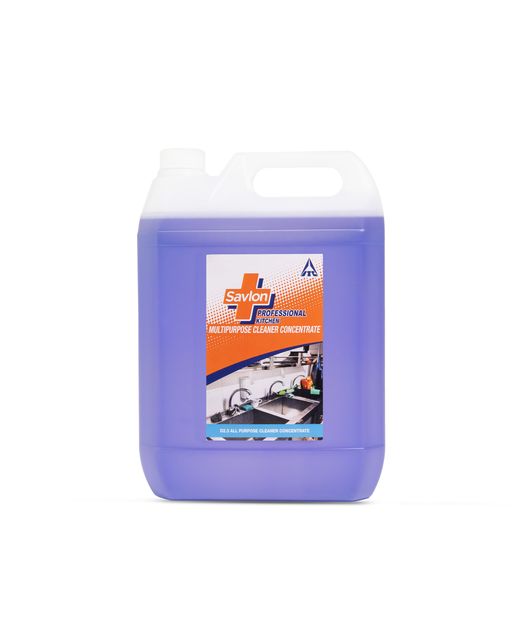 Multipurpose Cleaner Concrete